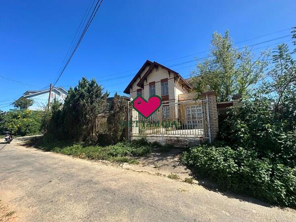 Bán đất tặng biệt thự Mai Xuân Thưởng Phường Lâm Viên - Đà Lạt thuận tiện đi lại.
