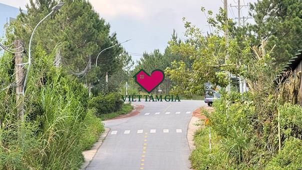 Bán đất Mặt tiền Nguyễn Hữu Cảnh Phường Lâm Viên - Đà Lạt thuận tiện xây khu biệt thự nghỉ dưỡng.