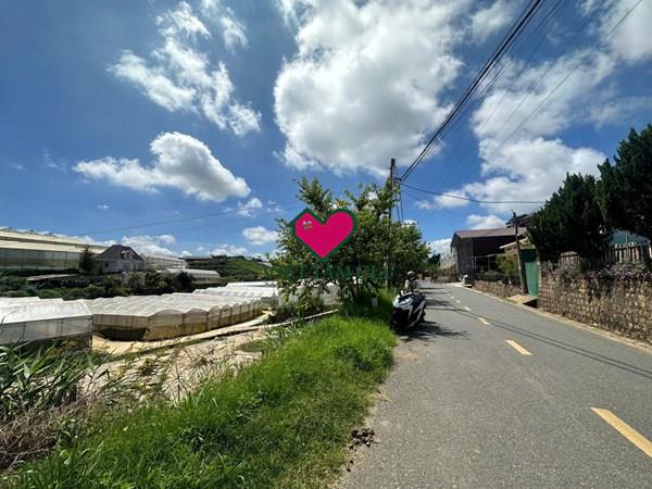 Bán đất MT đường Đa Phú Phường Lang Biang - Đà Lạt giá  tốt thích hợp đầu tư lâu dài