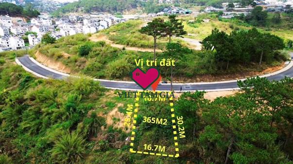 Bán đất KQH An Sơn 5 Phường Xuân Hương - Đà Lạt view thông đẹp vĩnh viễn.