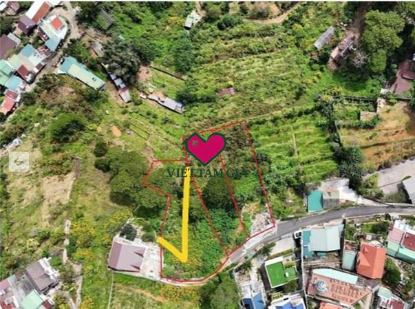 Bán đất hẻm đường 3/4 Phường Xuân Hương - Đà Lạt trung tâm view thông đẹp vĩnh viễn.