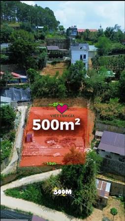 Bán đất đường Hoàng Hoa Thám Phường Xuân Hương - Đà Lạt view thông đẹp miên man.
