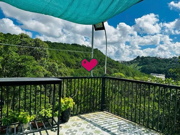 Bán nhà KQH Trần Quang Diệu Phường Lâm Viên -Đà Lạt view thông cực đẹp.