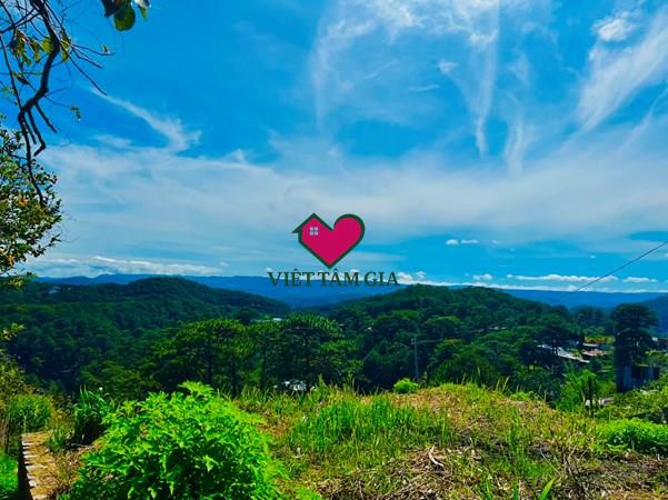 Bán đất hẻm 3/4 Phường Xuân Hương - Đà Lạt thuận tiện kinh doanh nghỉ dưỡng view thông đẹp.