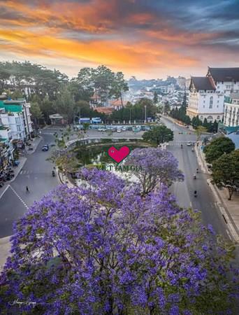 Bán Dãy trọ MT đường Hoàng Văn Thụ Phường Cam Ly  - Đà Lạt nguồn thu tốt.
