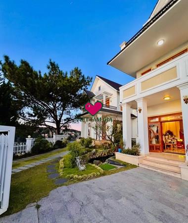 Bán biệt thự trung tâm Đặng Thái Thân Phường Xuân Hương - Đà Lạt View Thông đẹp Vĩnh Viễn