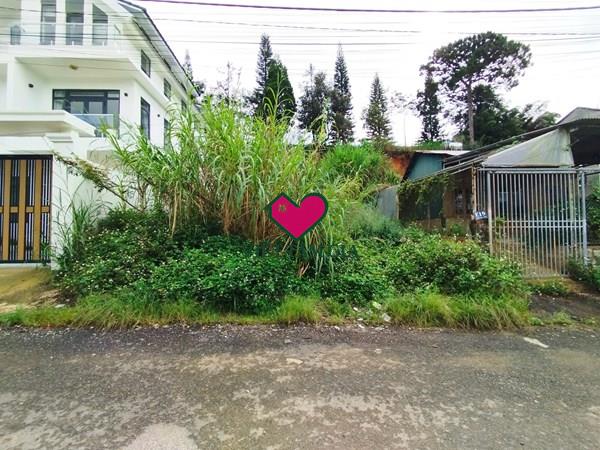 Bán đất KQH An Sơn Phường Xuân Hương -Đà Lạt thuận tiện nghỉ dưỡng .