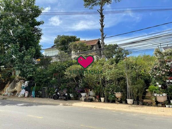 Bán đất MT đường Mê Linh Phường Lâm Viên -Đà Lạt thuận tiện kinh doanh nghỉ dưỡng.
