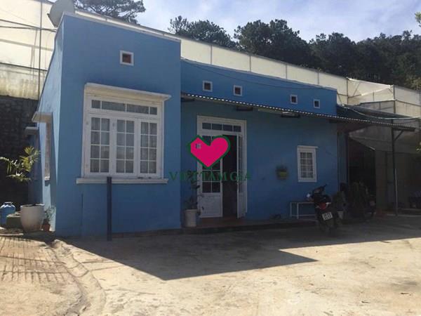 Bán đất hẻm Hoàng Văn Thụ Phường Camly - Đà Lạt diện tích rộng thuận tiện an cư nghỉ dưỡng.