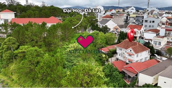 Bán biệt thự sân vườn Võ Trường Toản Phường Lâm Viên - Đà Lạt trung tâm tiện di chuyển.