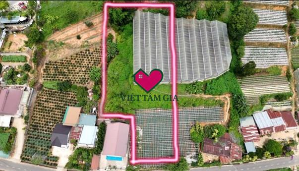 Chính chủ gửi ace chạy phụ MT Đa Phú tiện kinh doanh nghỉ dưỡng đầu tư lâu dài.