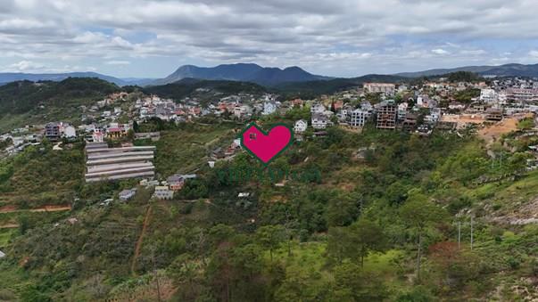 Bán đất hẻm Hoàng Hoa Thám Phường Xuân Hương - Đà Lạt view thông đẹp vĩnh viễn.