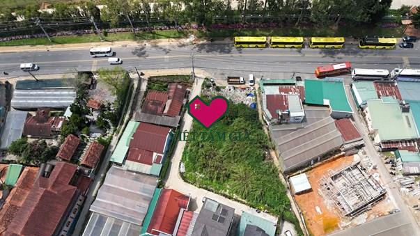 Bán đất 4 mặt tiền Mai Anh Đào Phường Lâm Viên - Đà Lạt đối diện Thung Lũng Tình Yêu