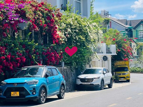 Bán homestay Mt Thi Sách kẹt ngân hàng Phường Camly - Đà Lạt