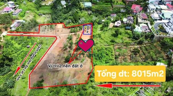 Bán đất hẻm Hoàng Hoa Thám Phường Xuân Hương - Đà Lạt view thông.