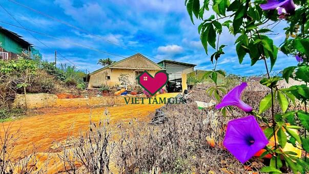 Bán đất đường Đông Tĩnh Phường Lâm Viên - Đà Lạt đất rộng thích hợp làm nhà vườn.
