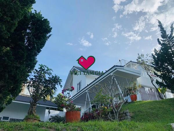Bán biệt thự đường Hoàng Hoa Thám Phường Xuân Hương - Đà lạt view thông đẹp.