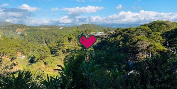 Bán đất hẻm 3/4 Phường Xuân Hương - Đà Lạt view thông vĩnh viễn.