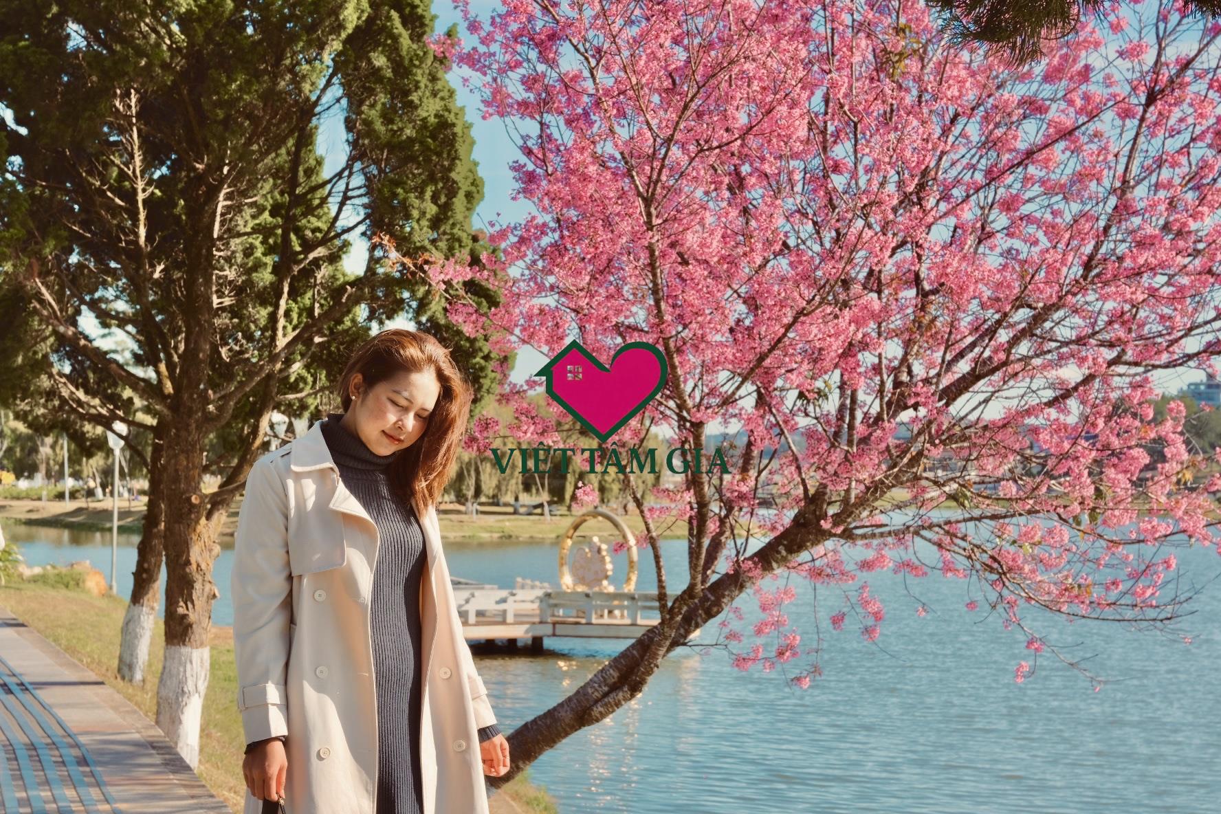 Daonguyenbdsdalat